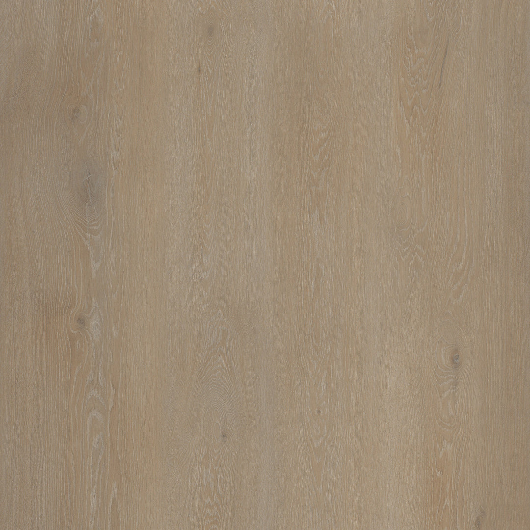 Piazza - Ble - 6316724X