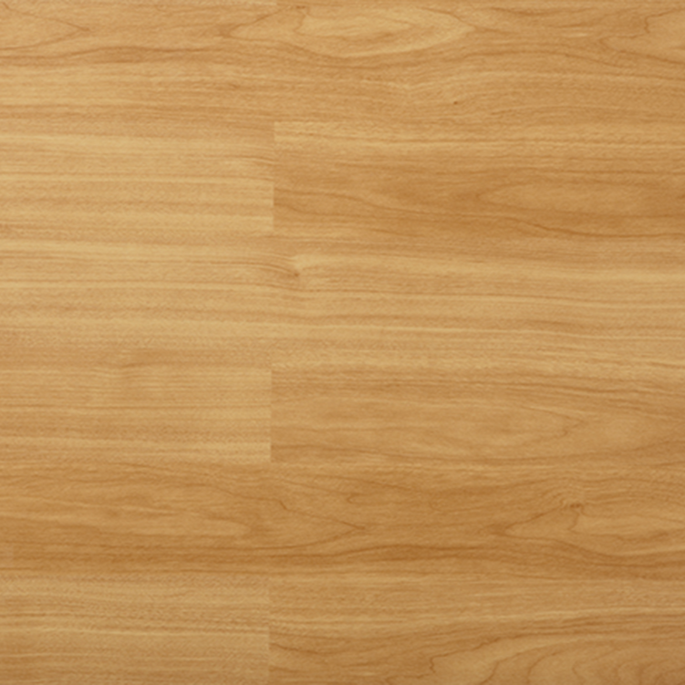 51024 Poplar
