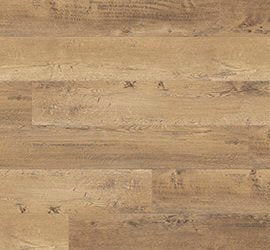 Shipwright - Monarch - 1329415