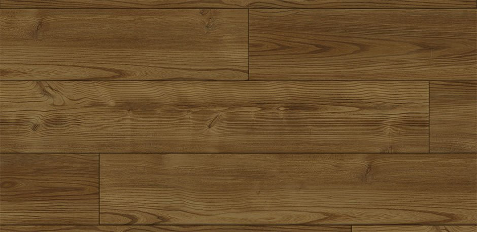 5362108X Melbourne Elm - Autumn
