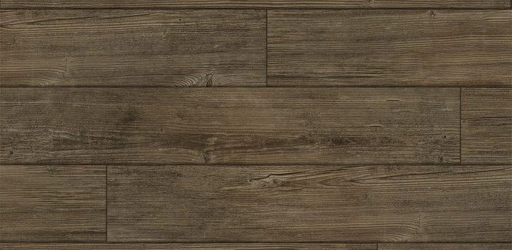 5382104X Summer Pine - Ash