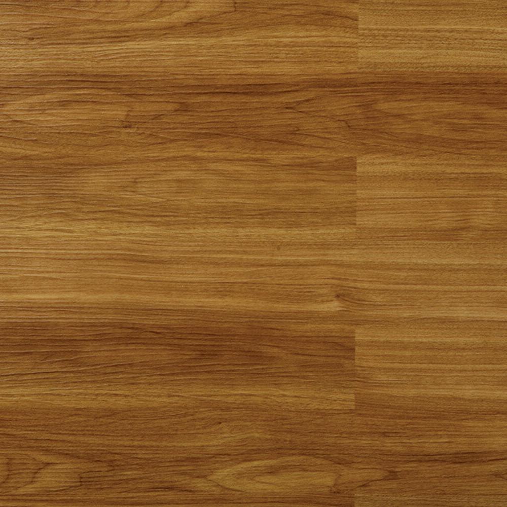61022 Virginia Butternut