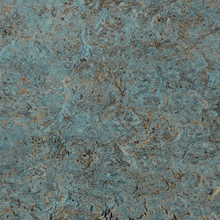 88003 Moss
