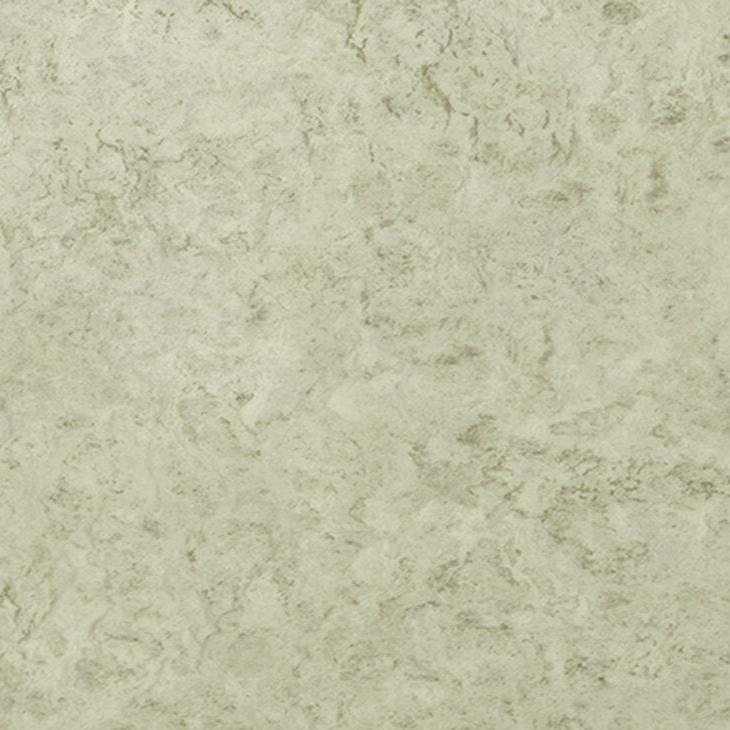88021 Oyster
