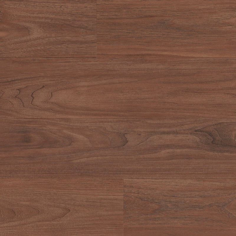 Cinnamon2_800x.jpg?v=1724951949
