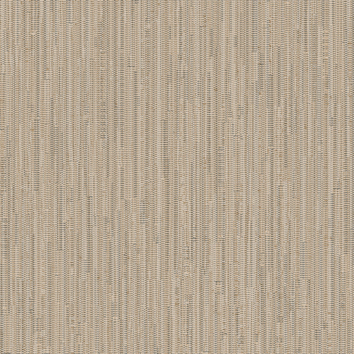 Elevated Classics [Interline] - Soft Cotton - 90102