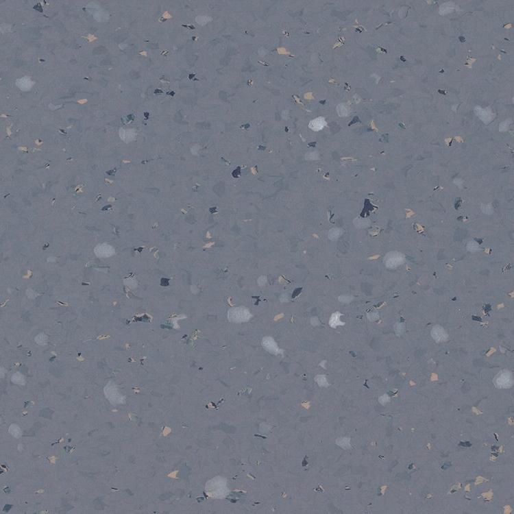 262308 Forget Me Not