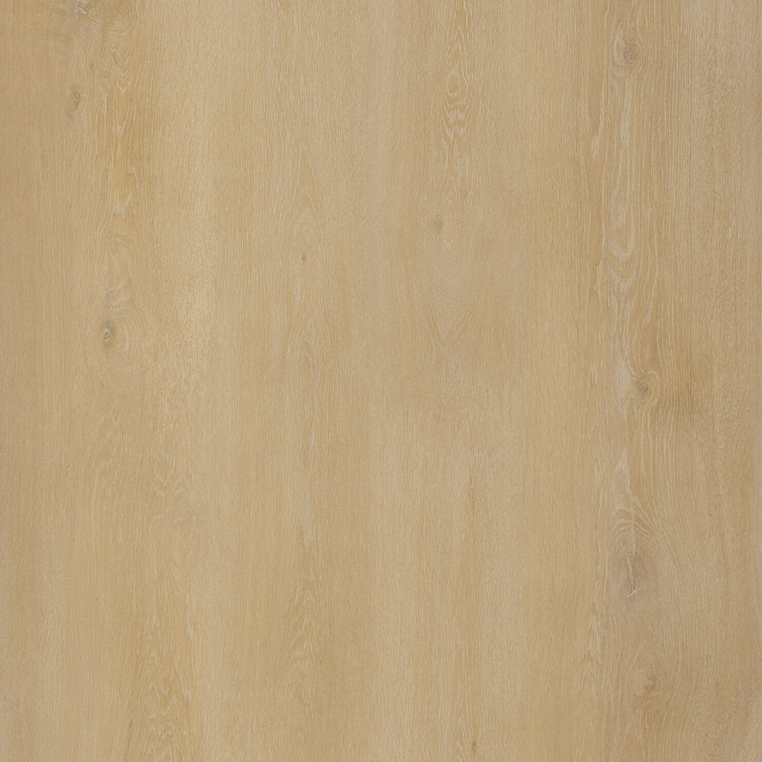 Piazza - Naturel - 6316739X