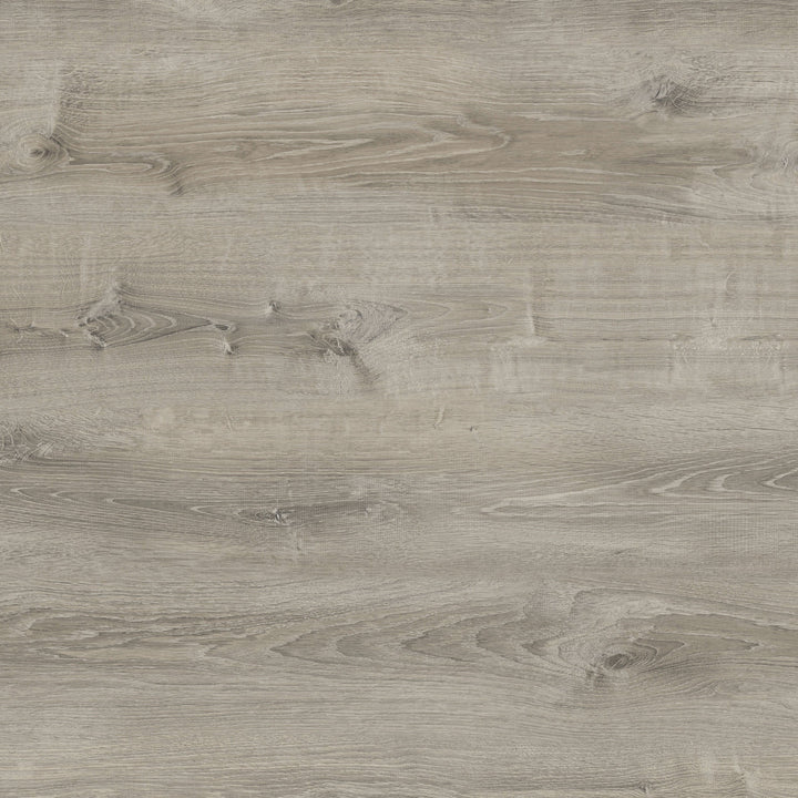 Ridge Oak - Silver - ED966106