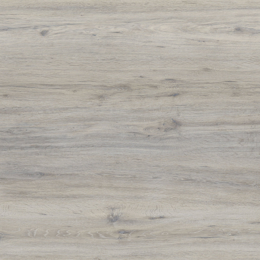Royal Oak - Grey - ED107514