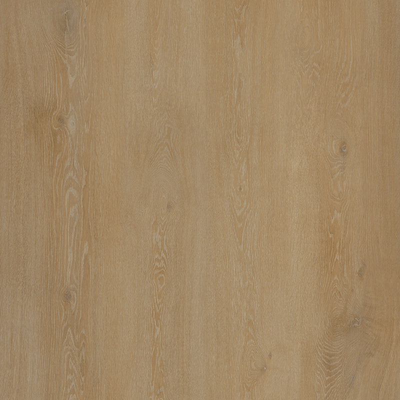 ÉCLAT Botanical aircolor foam ダークブラウン ÉCLAT Botanical aircolor foam ダークブラウン ÉCLAT Botanical