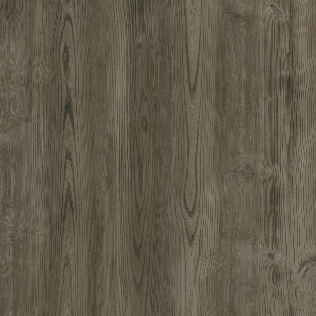 Melbourne Elm - Pearl - 5362107X