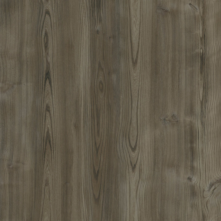Melbourne Elm - Pearl - 5362107X