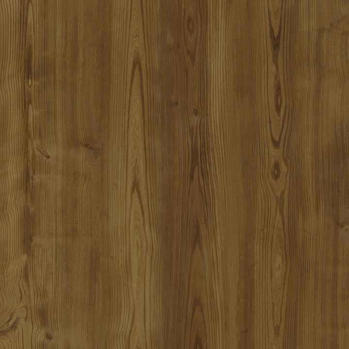 Melbourne Elm - Autumn - 5362108X