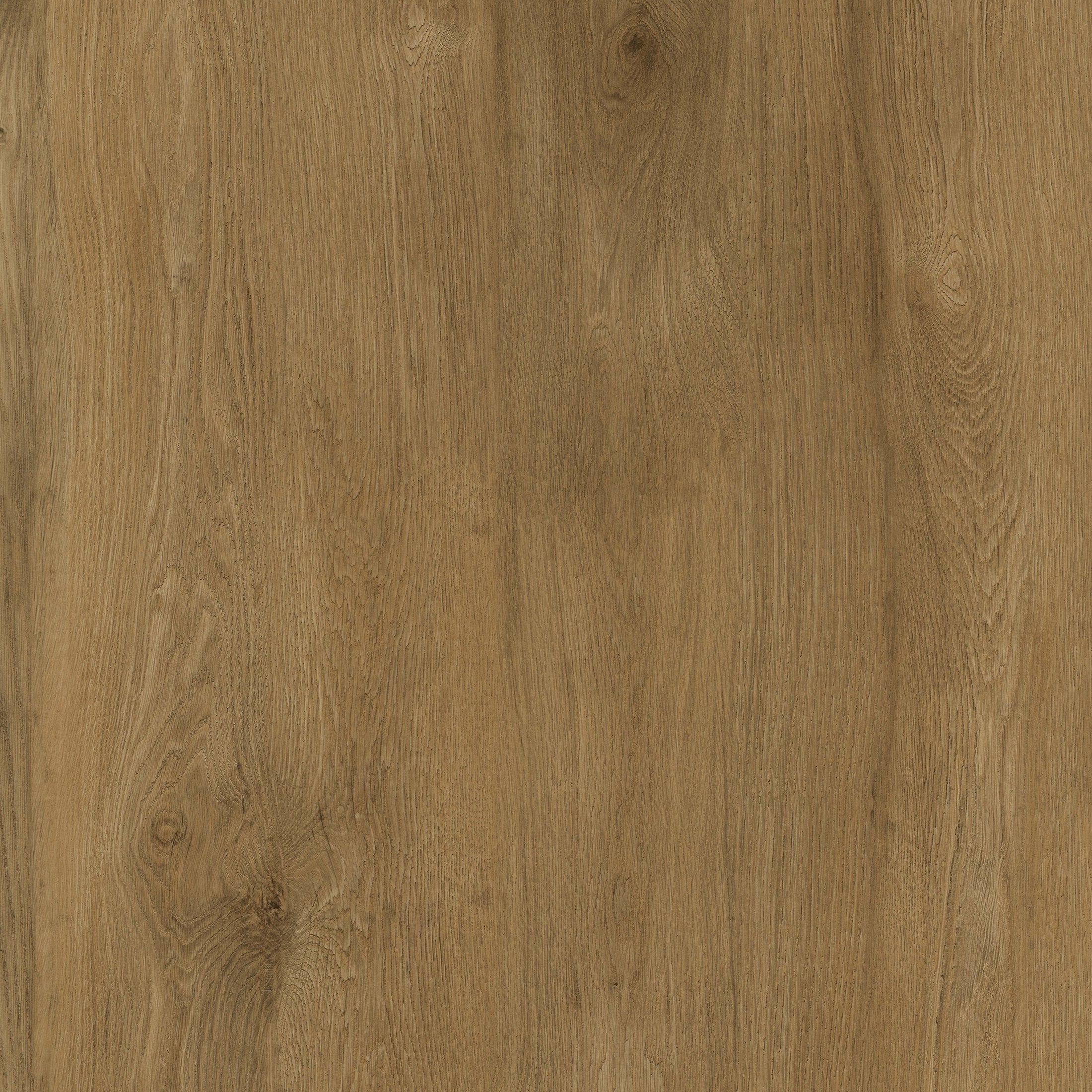 Perfect Oak - Honey - 5473101X – Teknoflor