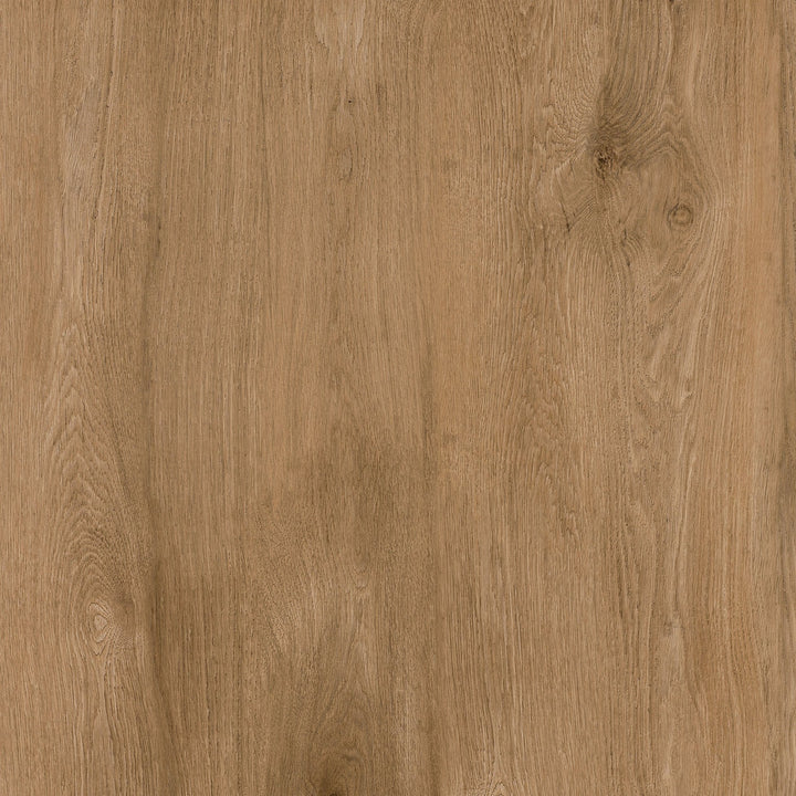 Perfect Oak - Bogwood - 5473108X