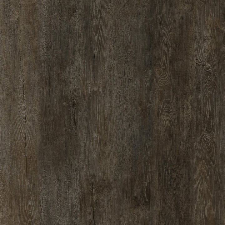 Mason Oak - Pumice - 5383104X