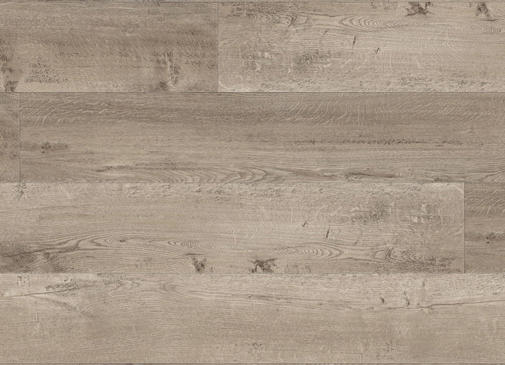 Shipwright - Bounty - 1329414