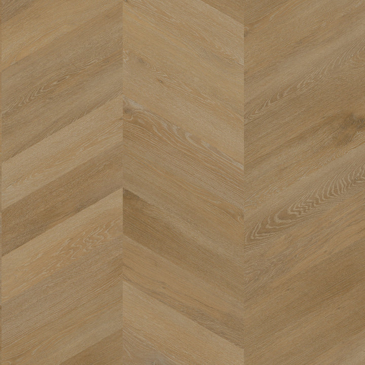 Versailles - Soleil - 6816726X