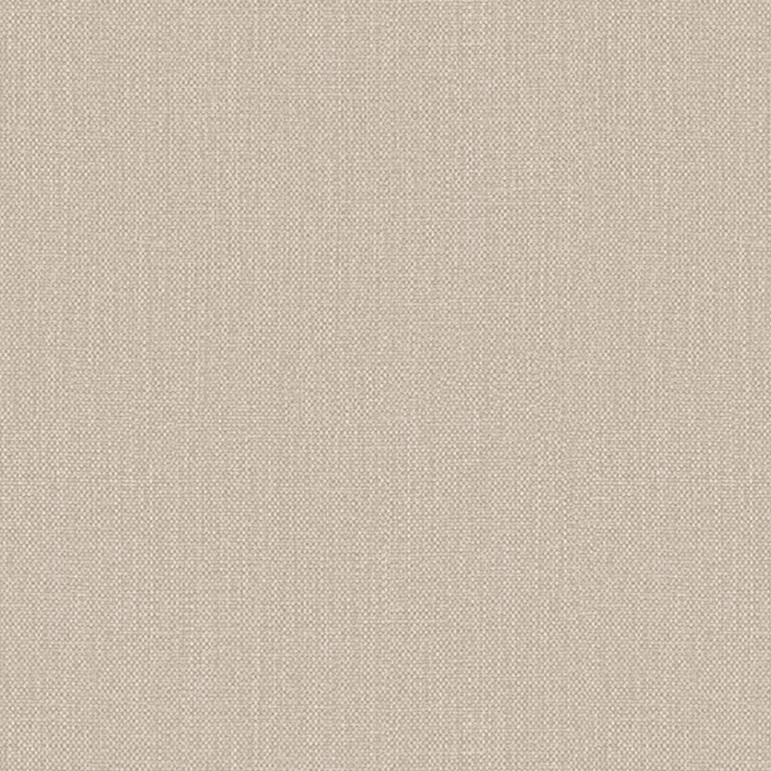 89512 Phoenix Silt