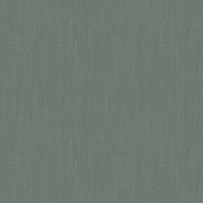 89513 Phoenix Evergreen