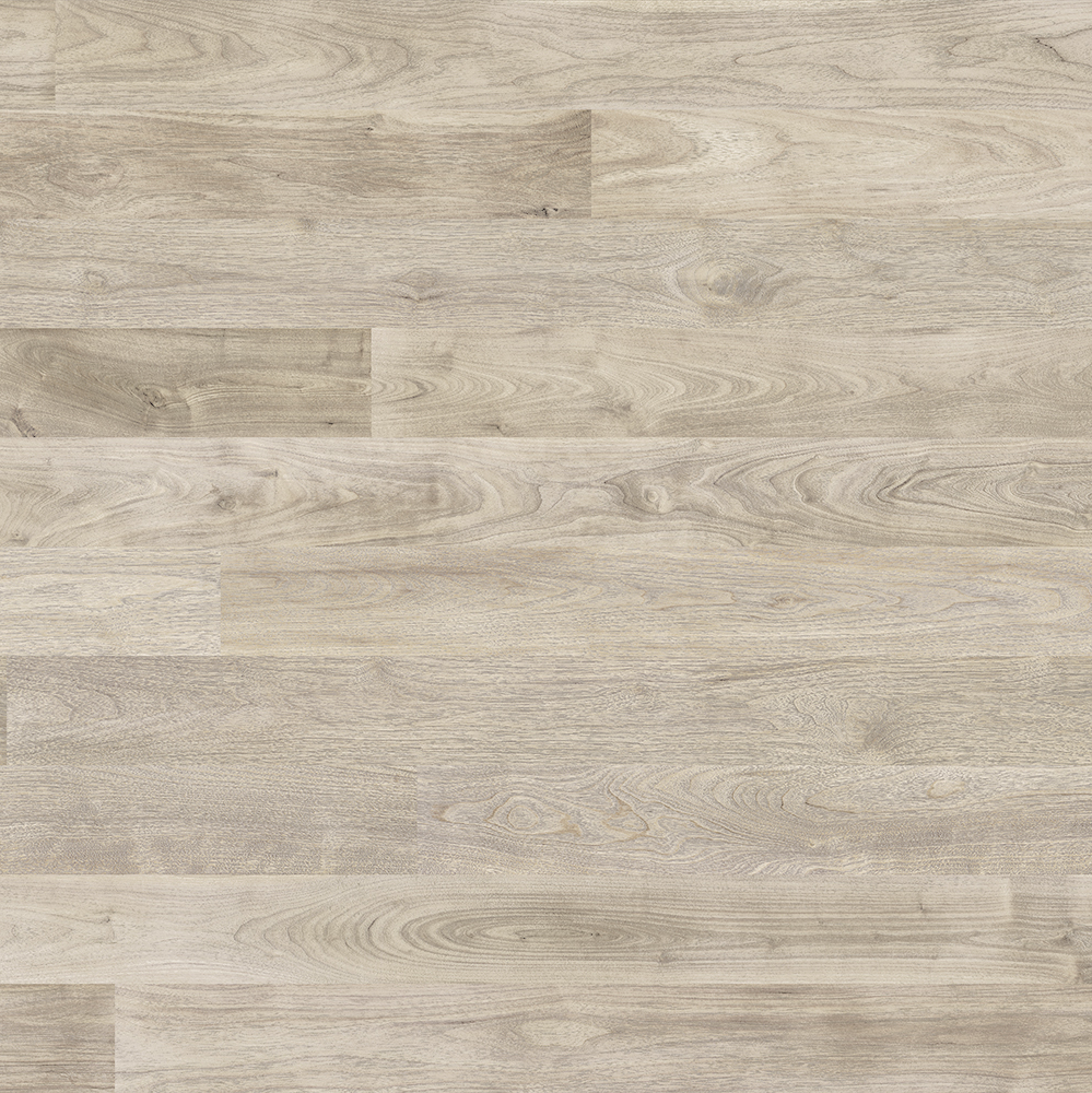 Forestscapes Modern HPD - Fog - 88068HPD – Teknoflor