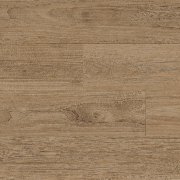 88061PLK Tanned